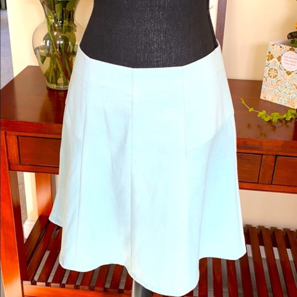 Ann Taylor Loft Flare Skirt